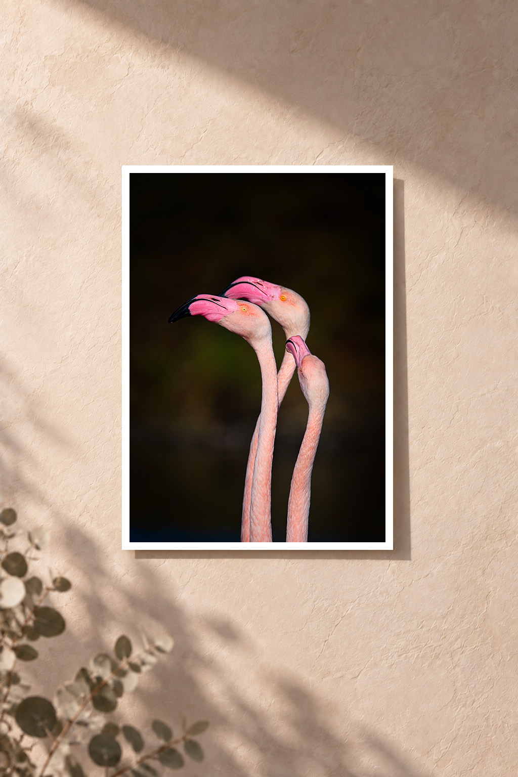 Présentation du tirage Flamants roses sur un mur — simulation